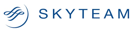 skyteam logo